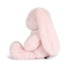 Load image into Gallery viewer, OB - Betsy Pink Bunny Soft Toy
