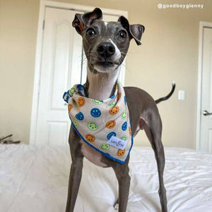 Lucy & Co. - The Good Days Bandana: Large